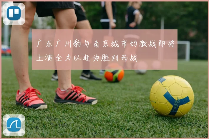广东广州豹与南京城市的激战即将上演全力以赴为胜利而战
