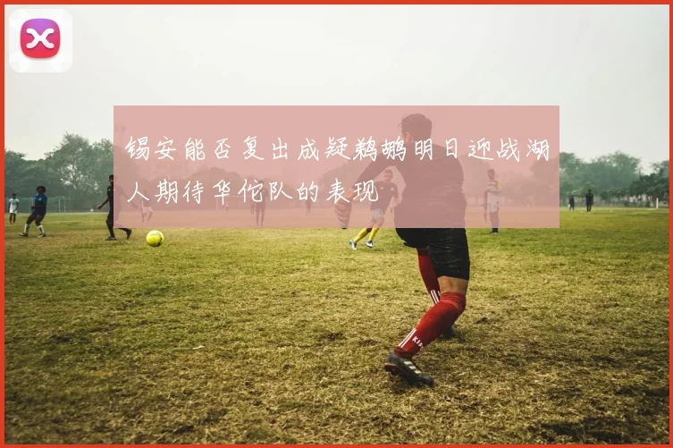 锡安能否复出成疑鹈鹕明日迎战湖人期待华佗队的表现