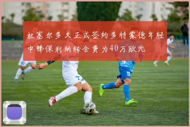 杜塞尔多夫正式签约多特蒙德年轻中锋保利纳转会费为40万欧元
