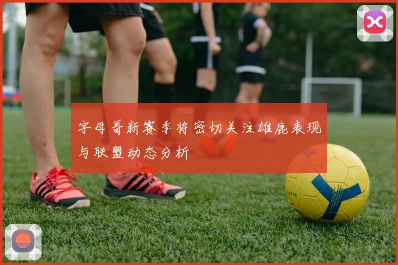 字母哥新赛季将密切关注雄鹿表现与联盟动态分析