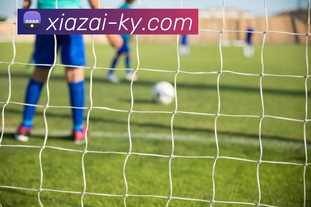 开云体育APP 封面图